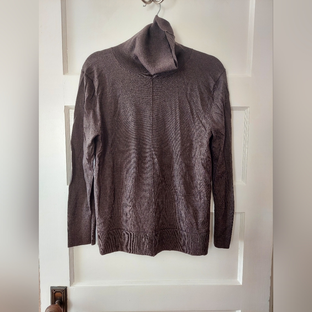 Banana Republic 100% Merino Wool Turtleneck Sweater